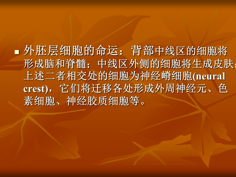 第三章2神经胚门类体制特征的确立.ppt_第3页