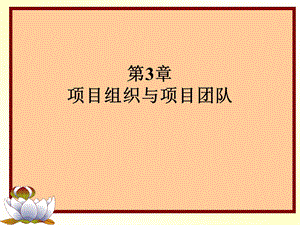 w第3章项目组织与项目团队.ppt