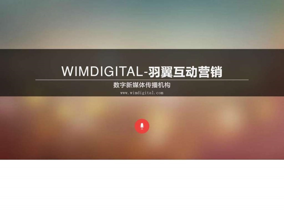 WIMdigital羽翼互动广告传媒公司介绍图文.ppt.ppt_第1页