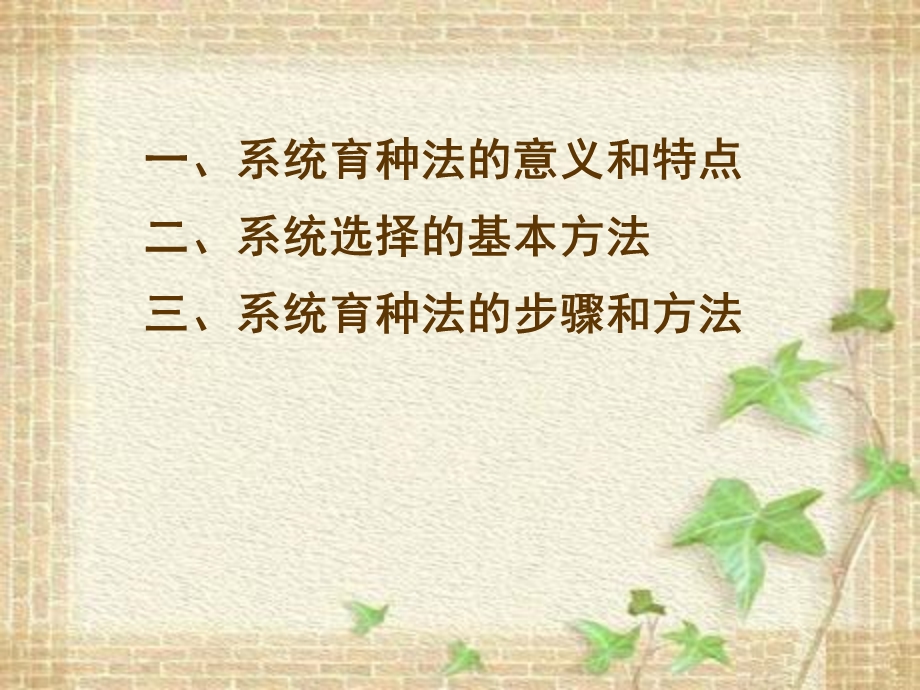 系统育种方法.ppt_第2页