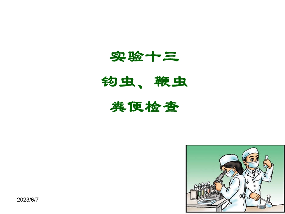 实验钩虫鞭虫粪检.ppt_第1页