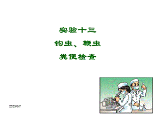 实验钩虫鞭虫粪检.ppt