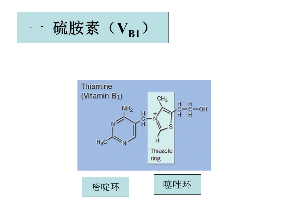 第六章维生素和辅酶.ppt_第3页