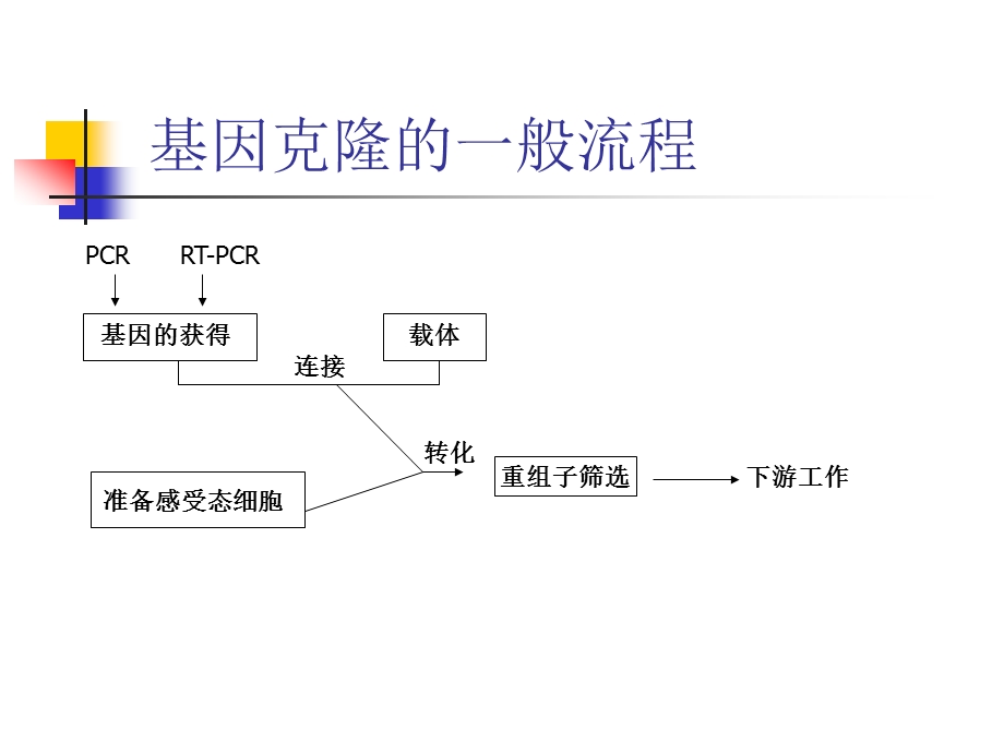 8目的基因的克隆.ppt_第1页