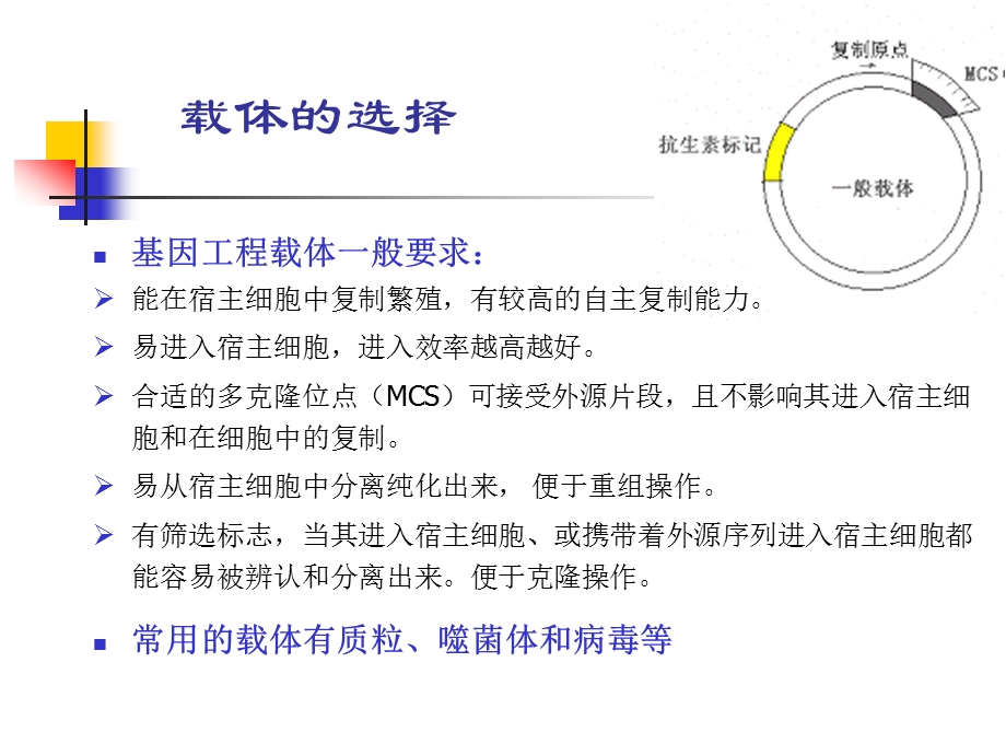 8目的基因的克隆.ppt_第2页