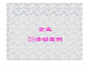 企业5s活动案例.ppt