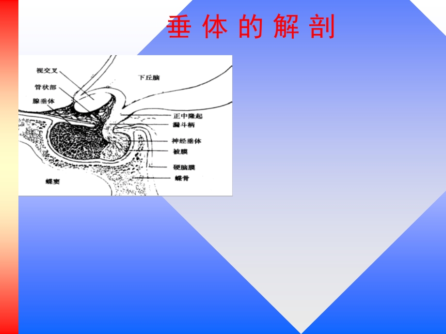 老年人日语大全.ppt_第3页