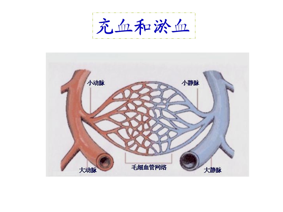 课件五 充血和淤血.ppt_第1页