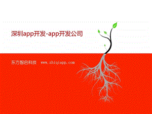 深圳app开发.ppt