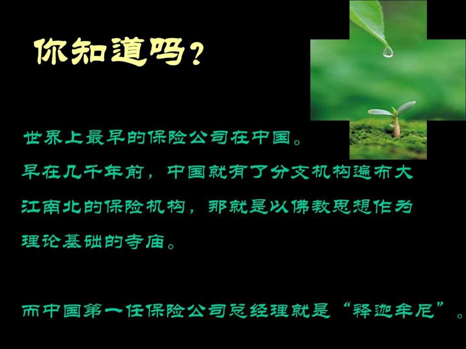 佛与保险.ppt.ppt_第2页