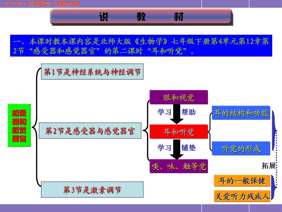 耳与听觉说课课件精品教育.ppt_第3页