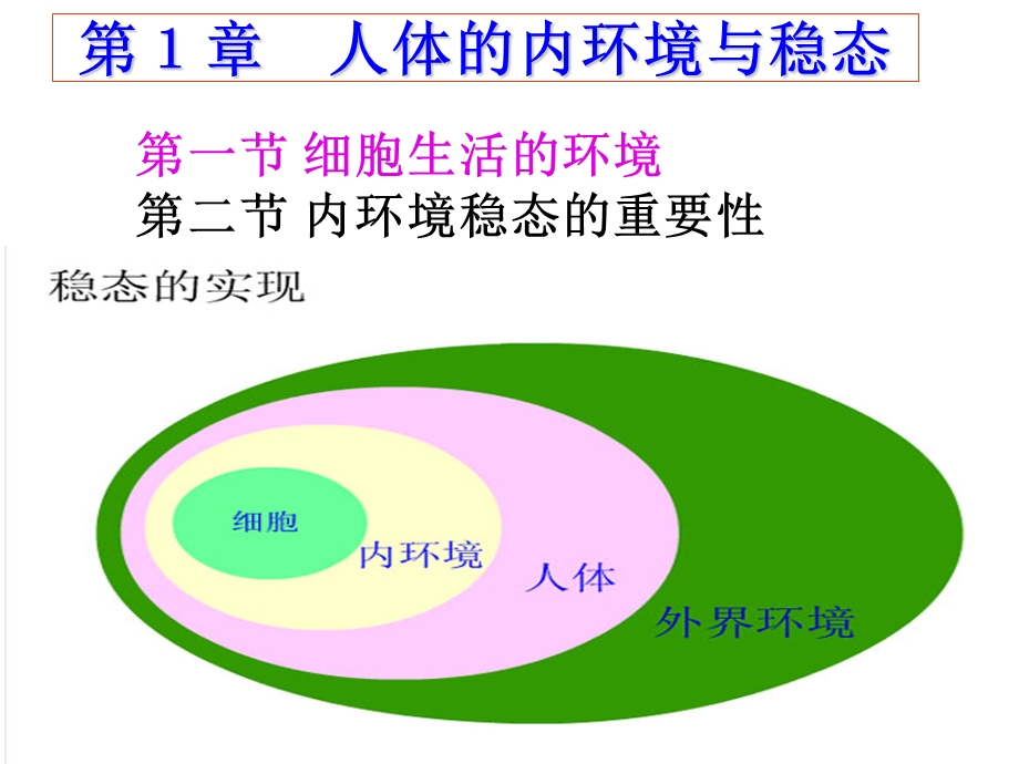 61第一章人体的内环境与稳态.ppt_第1页