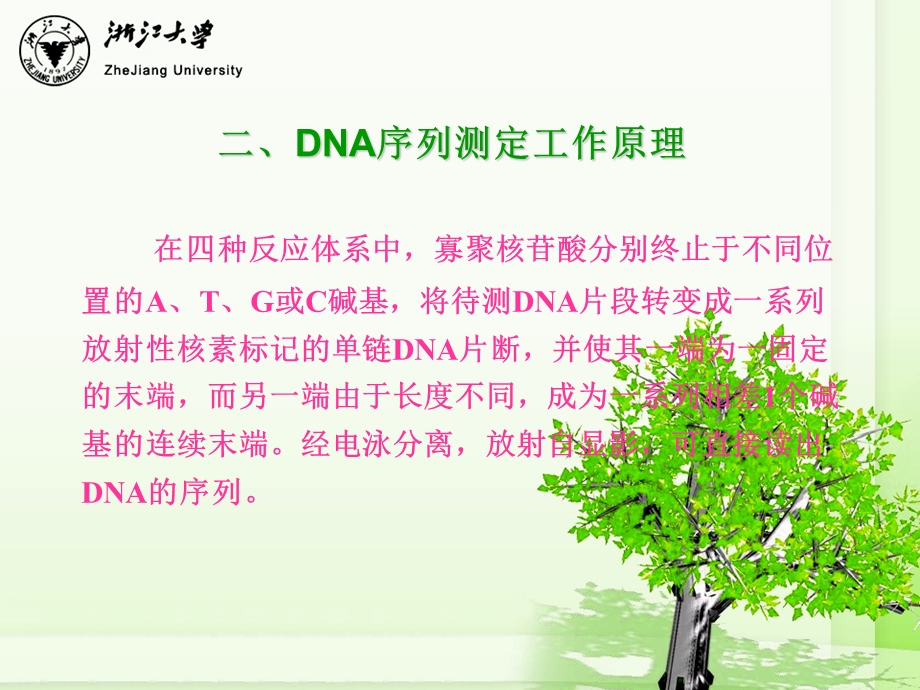 DNA序列测定.ppt_第3页