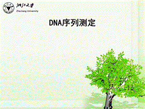 DNA序列测定.ppt