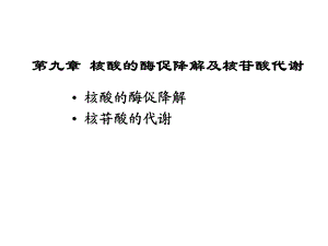 第九章核酸的酶促降解与核苷酸代谢.ppt