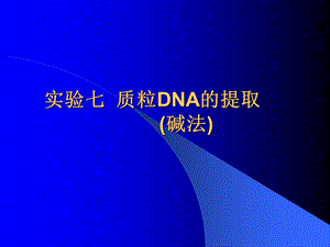 实验12质粒DNA的提取.ppt