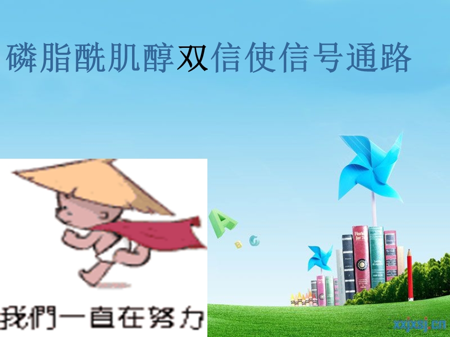 磷脂酰肌醇途径.ppt_第2页