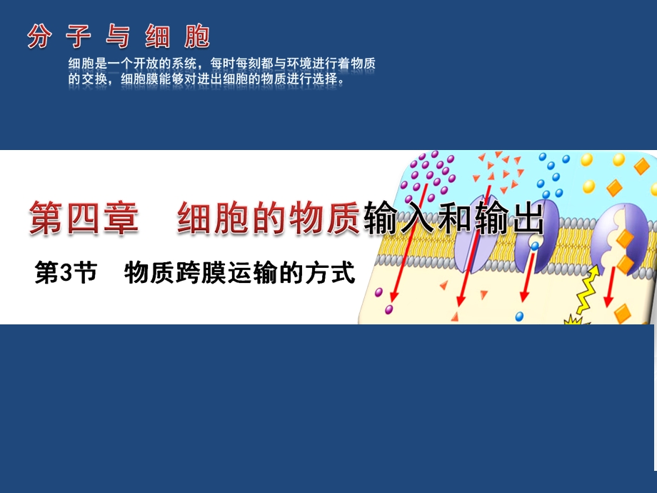 第四章第三节物质的跨膜运输的方式精品教育.ppt_第1页