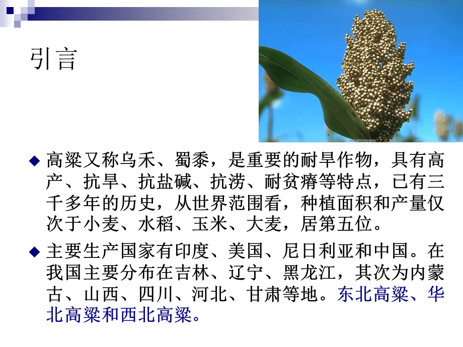 高粱淀粉的研究概述.ppt_第2页