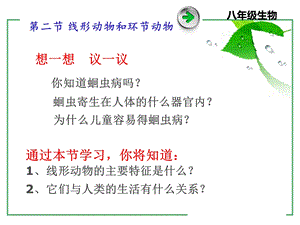 线形动物.ppt