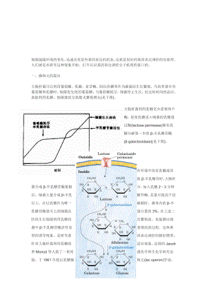 原核基因表达调控综述.doc