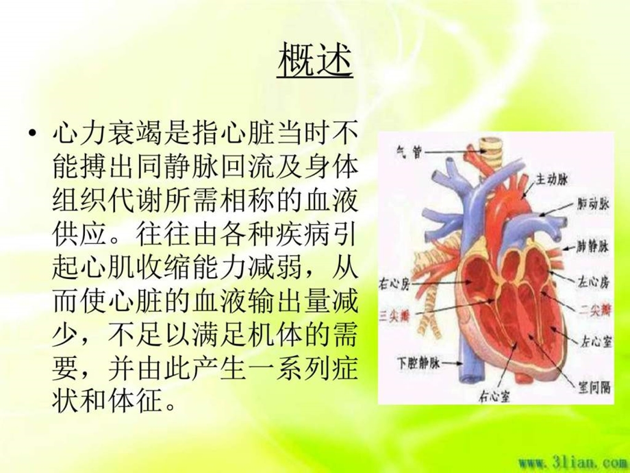 心衰患儿的护理措施基础医学医药卫生专业资料.ppt_第3页