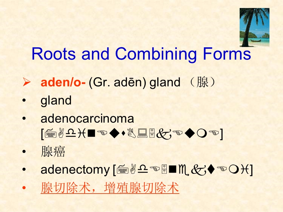 第五章医学术语词根.ppt_第2页