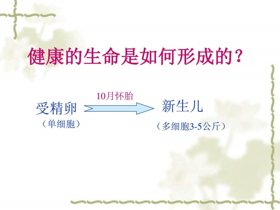 安利纽崔莱妇科和孕妇营养.ppt.ppt_第3页