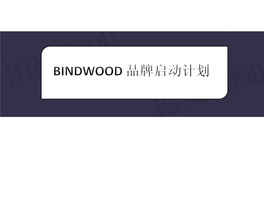 BINDWOOD品牌启动计划.ppt.ppt_第1页