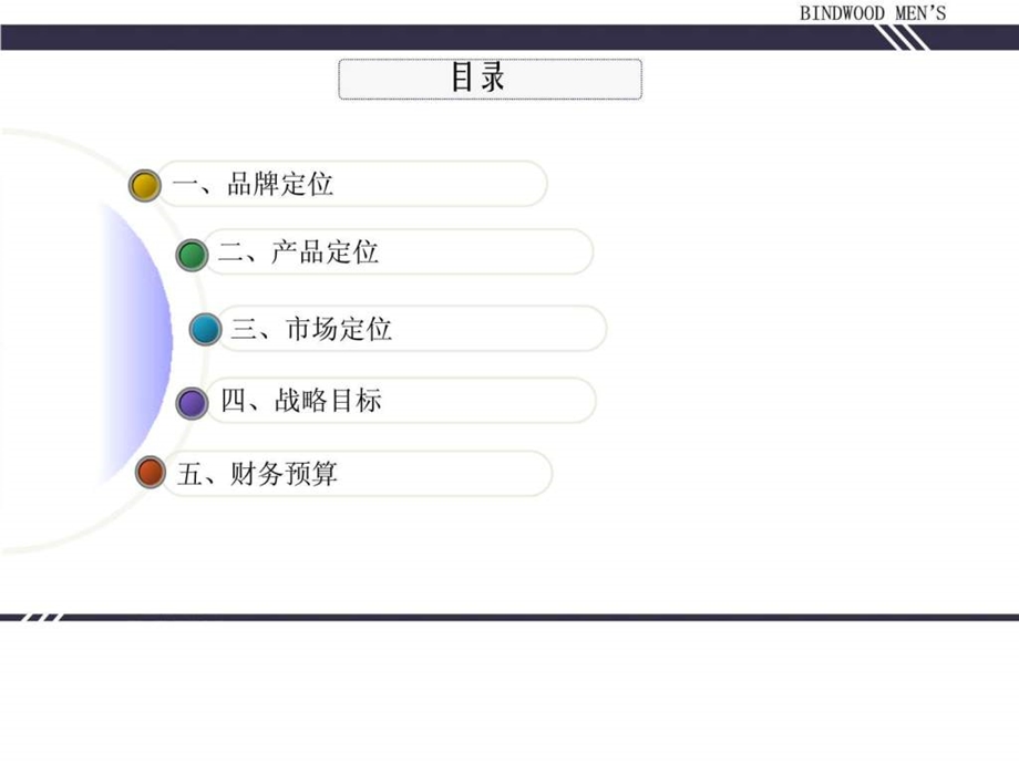 BINDWOOD品牌启动计划.ppt.ppt_第2页