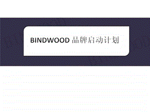 BINDWOOD品牌启动计划.ppt.ppt