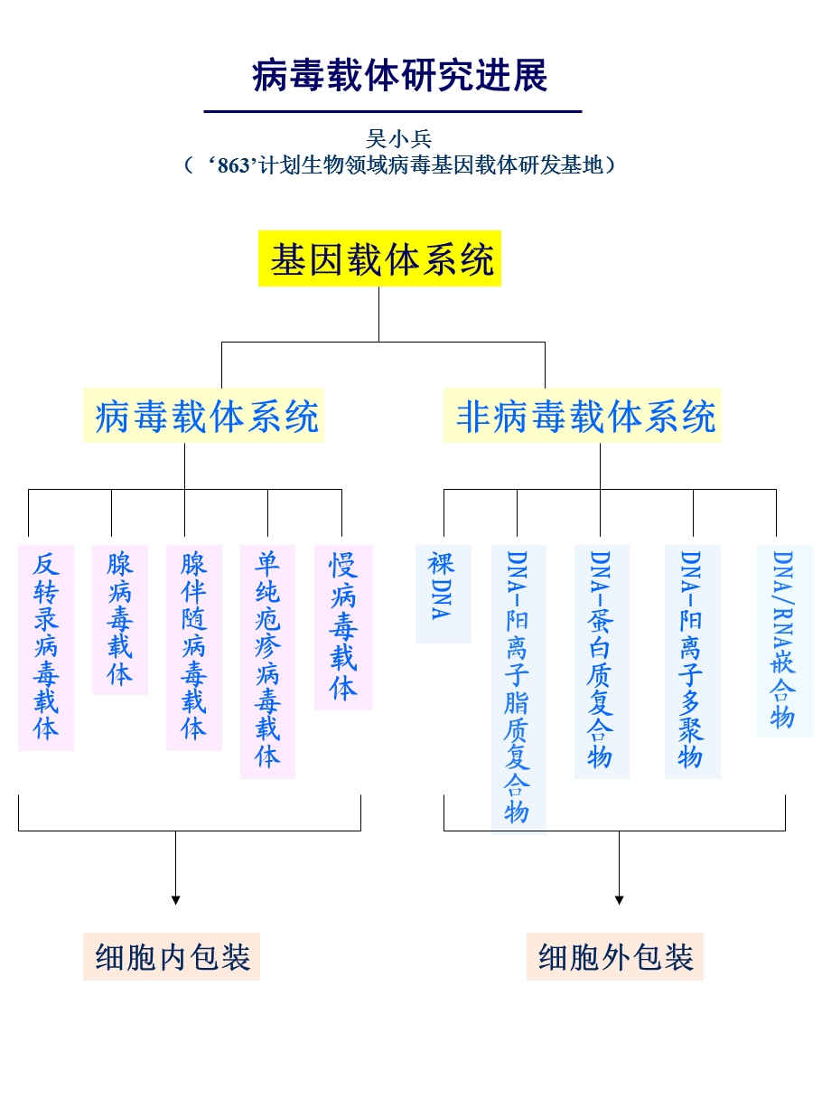 病毒载体研究进展.ppt_第1页