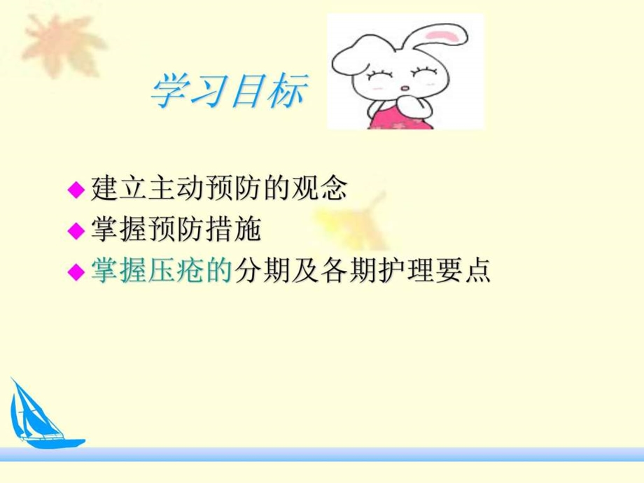 第六章压疮预防及护理幻灯片12.ppt_第2页