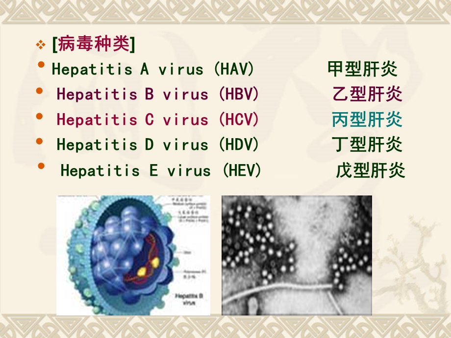 病毒性肝炎课件11.ppt_第3页