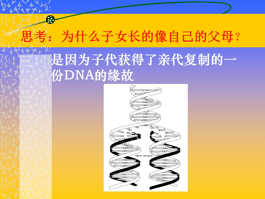 第一节三基因的表达.ppt_第3页