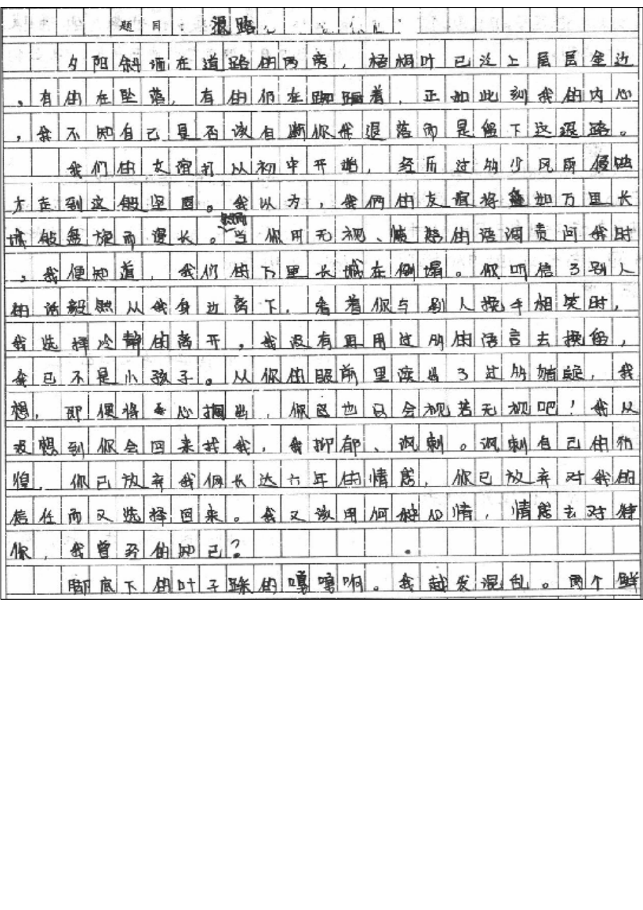 双线结构学生例文.doc_第1页