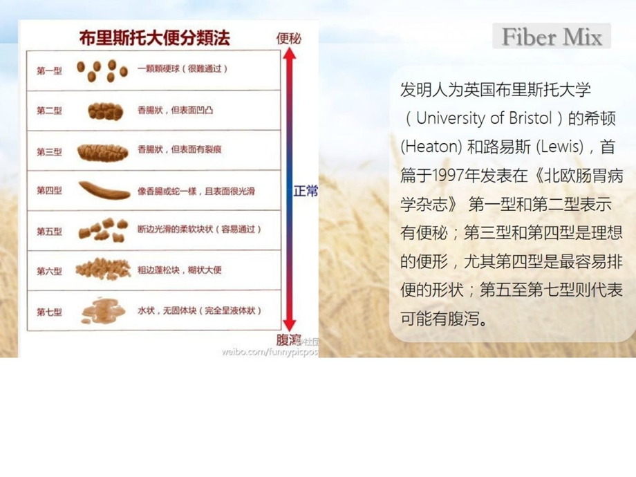 FIBERMIX产品方案麦纤乳果糖常饮肠舒畅.ppt_第3页