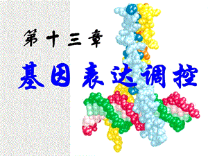 基因表达调控基本概念与原理.ppt