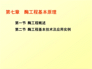 第一节酶工程概述.ppt