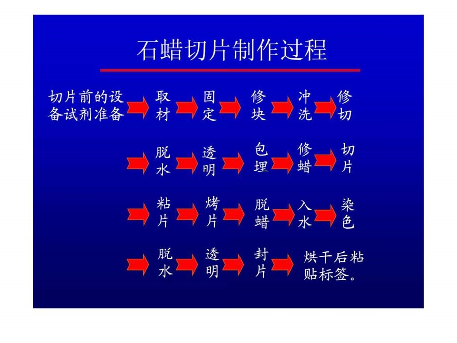 石蜡组织切片技术简介.ppt_第2页