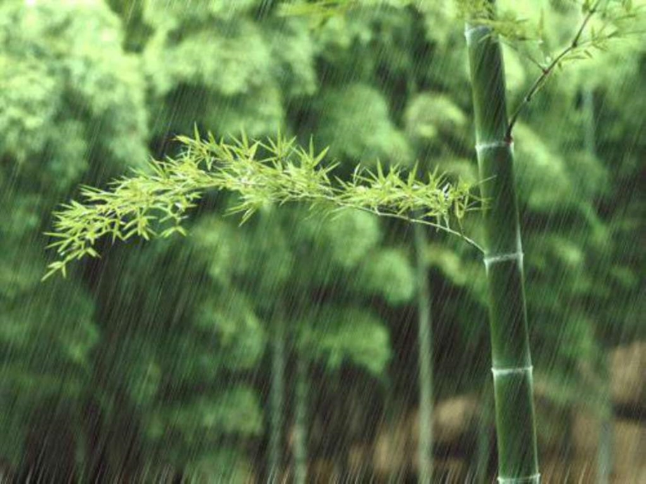 雨说为生活在中国大地上的儿童而歌课件1图文.ppt.ppt_第2页