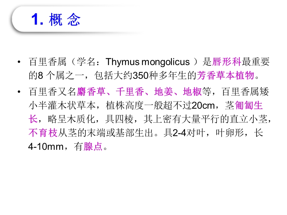 百里香的作用.ppt_第2页