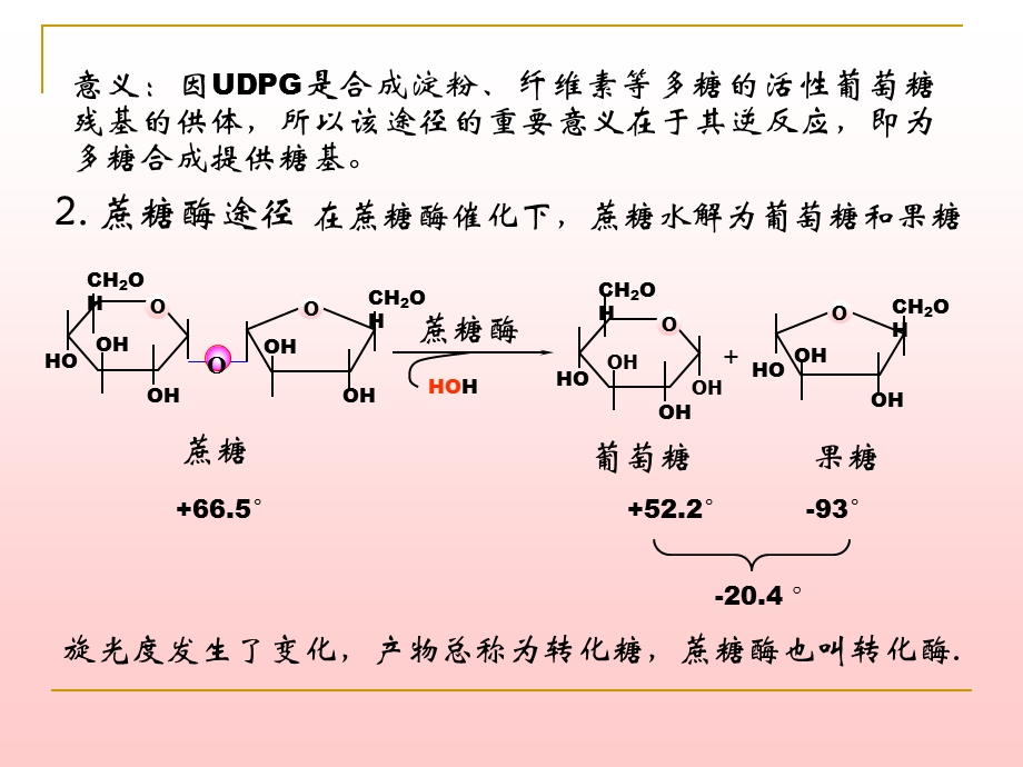 第6章糖代谢1.ppt_第3页