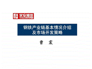 钢铁产业链基本情况介绍及市场开发策略.ppt