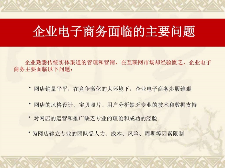 大维电商代理运营介绍.ppt.ppt_第3页