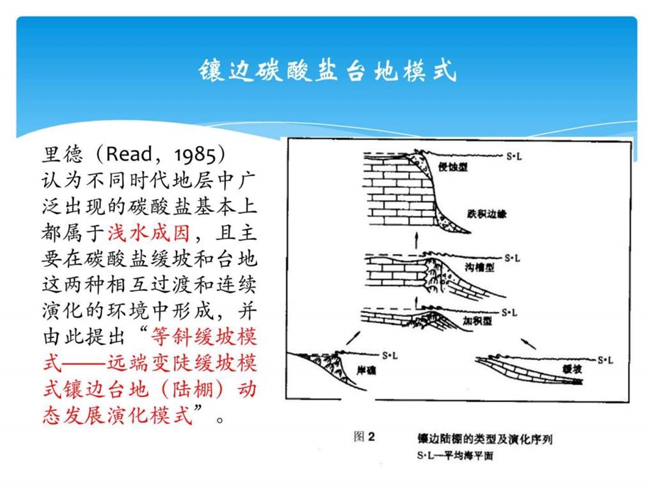 镶边陆架型台地图文.ppt.ppt_第3页