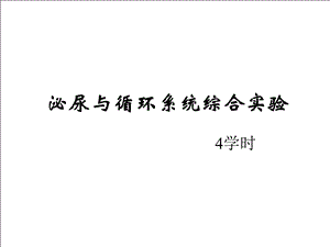 泌尿与循环系统综合实验.ppt