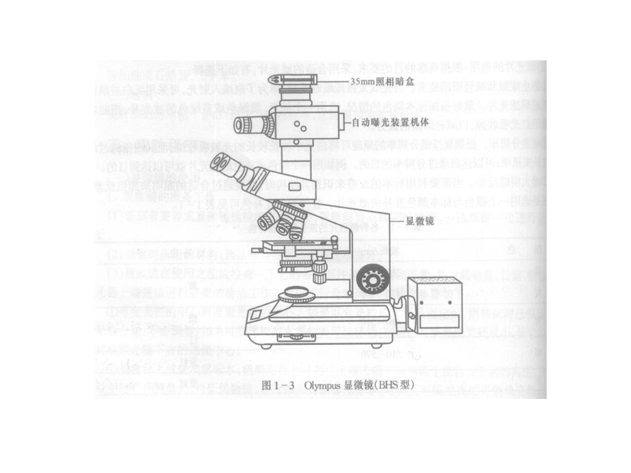 微观技术课程1MicrosoftPowerPoint演示文稿.ppt_第3页