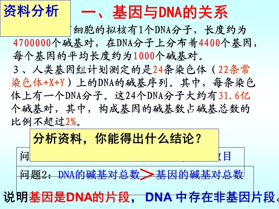 234基因是有遗传效应的DNA片段.ppt_第3页