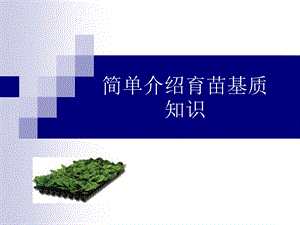 育苗基质功能及介绍.ppt